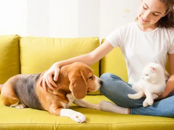 Personne assise sur un canapé avec un chien et un chat